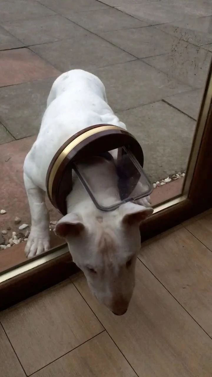 Images Active Glass and Mirrors Ltd