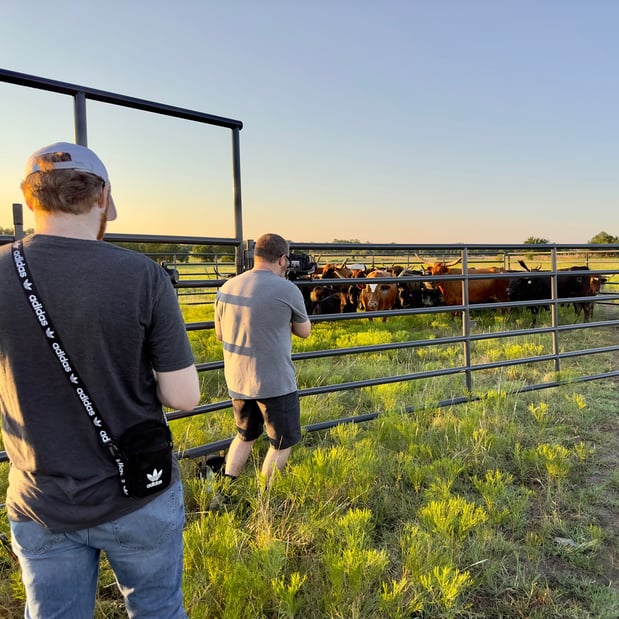 Images Advantage Marketing