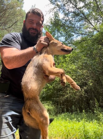 Images Bragg Wildlife Management