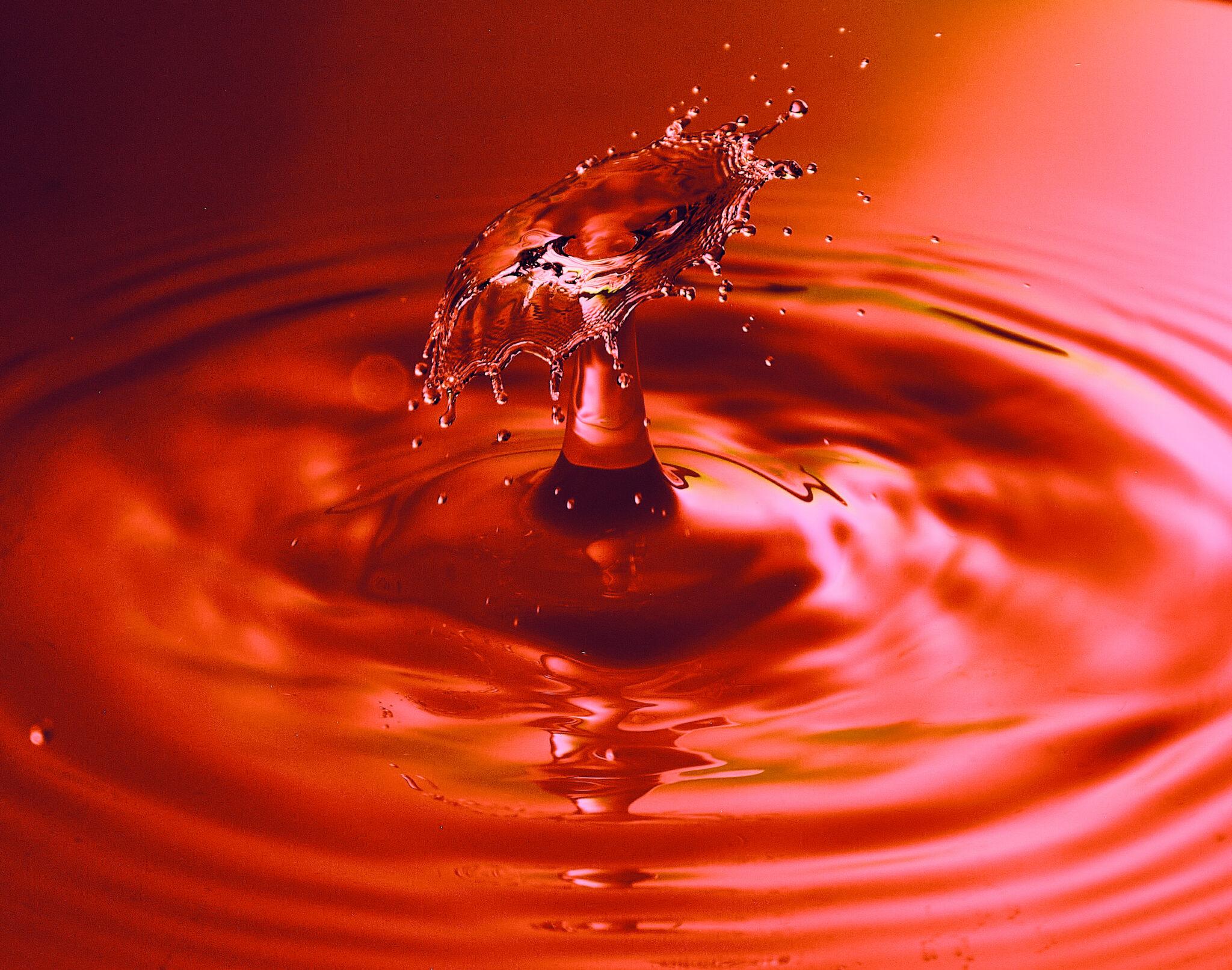 Pixelcatcher – Michael Damböck: Fotograf & Fotokurse, Kniebisstraße 43 in Stuttgart