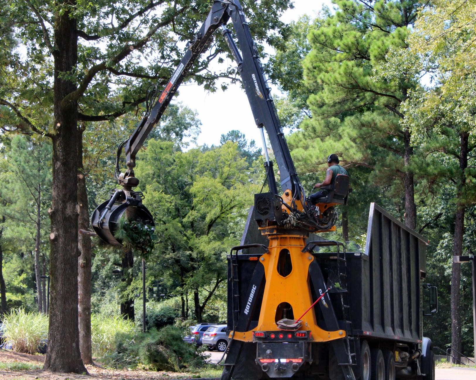 Mister Tree Service Photo