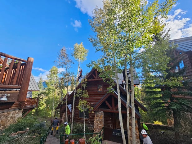 Images H & S Tree Care