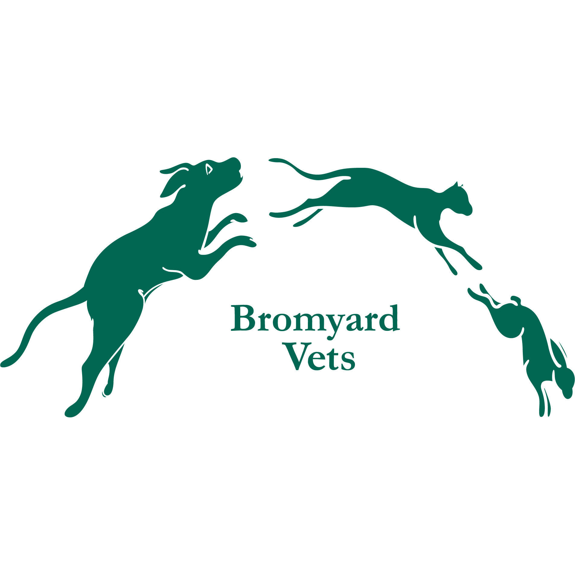 Bromyard Vets Logo