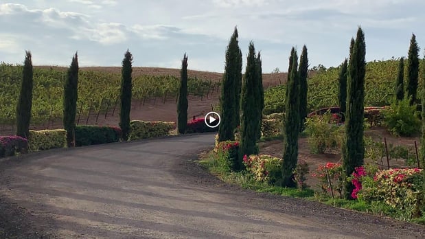 Images Granite Lion Cellars