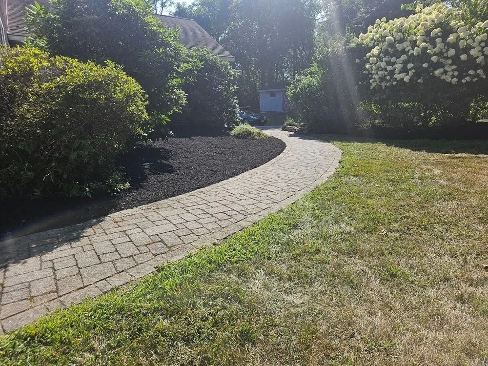 Clean Cut Landscape Services