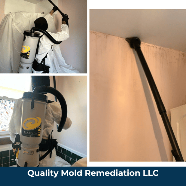 Images Quality Mold Remediation LLC