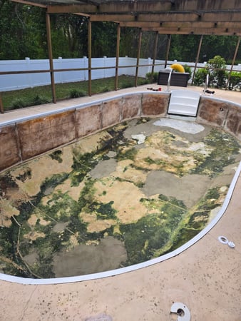Images Paradise Palm Pools Inc
