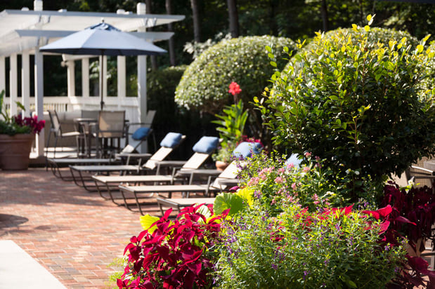 Images Camden Lake Pine Apartments