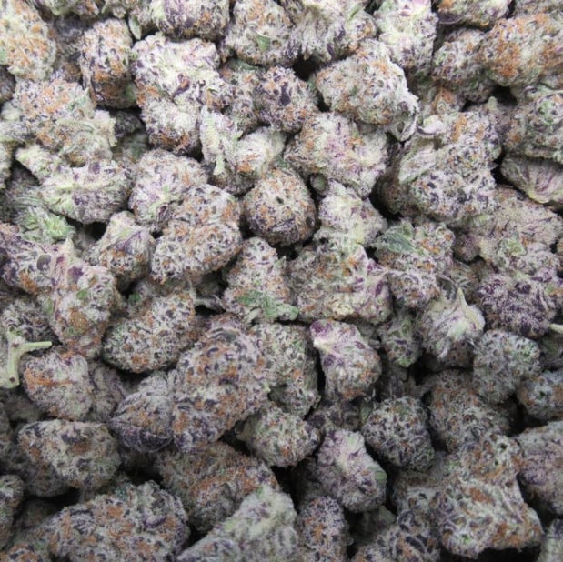 Images Burton Cannabis Company