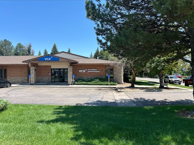Images VCA Fort Collins Animal Hospital