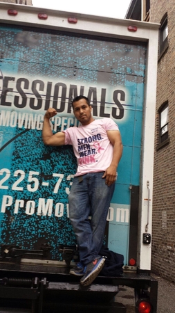 Images The Professionals Moving Specialists