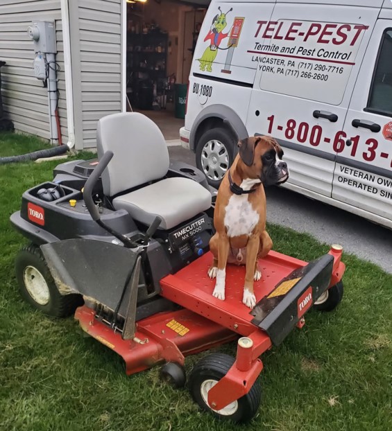Images Tele-Pest Inc