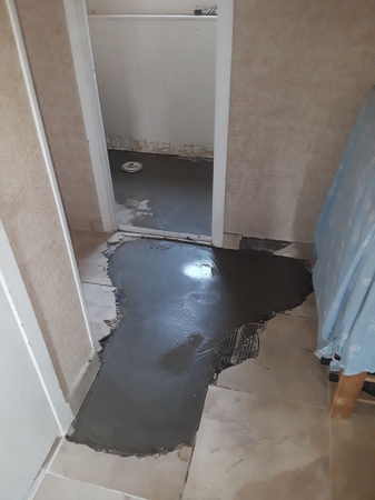 Images Family Rooter Plumbing and Sewer IL