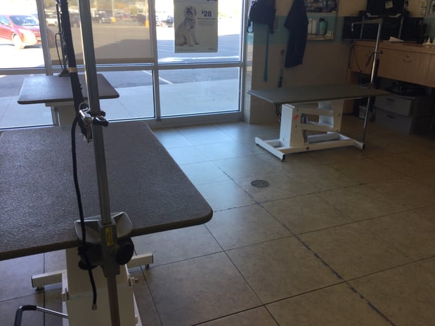 Images Petco Grooming