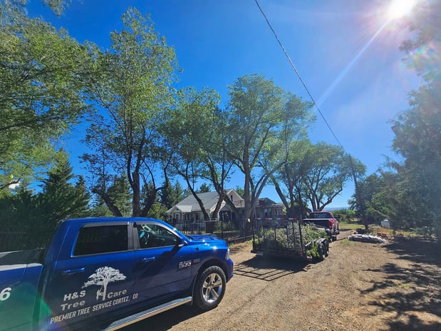 Images H & S Tree Care