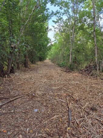 Images 3B Enterprise