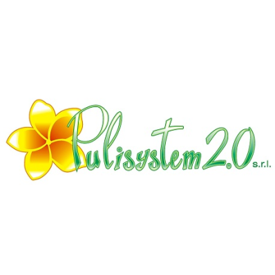 Pulisystem 2.0 Logo