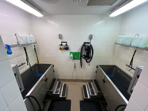 Images Petco Grooming