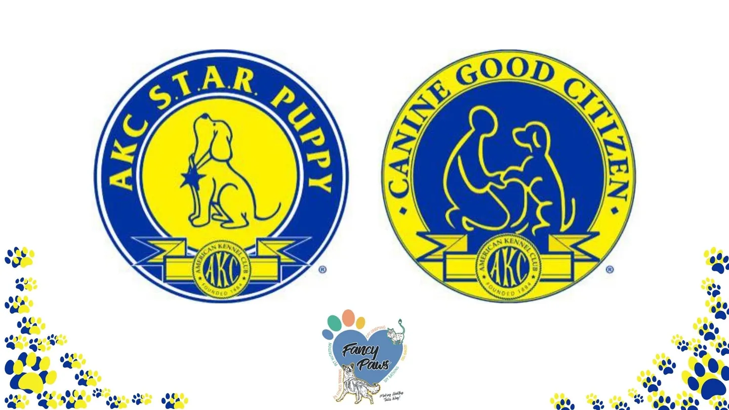 Image of Local Pet Event NEW AKC CLASSES STARTING! 🐾 Nearby