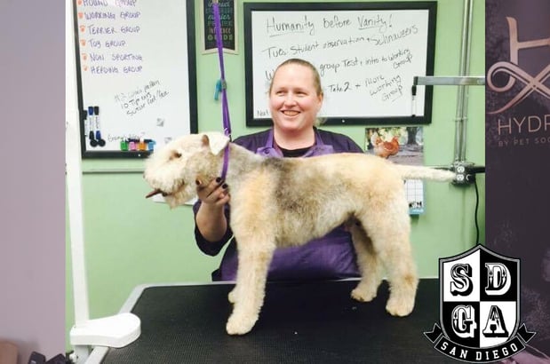 Images San Diego Grooming Academy