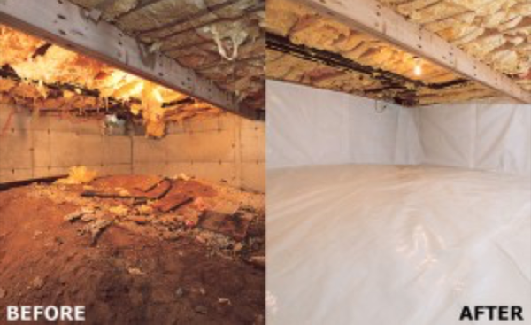 Images Absolute Foundation Repair Services