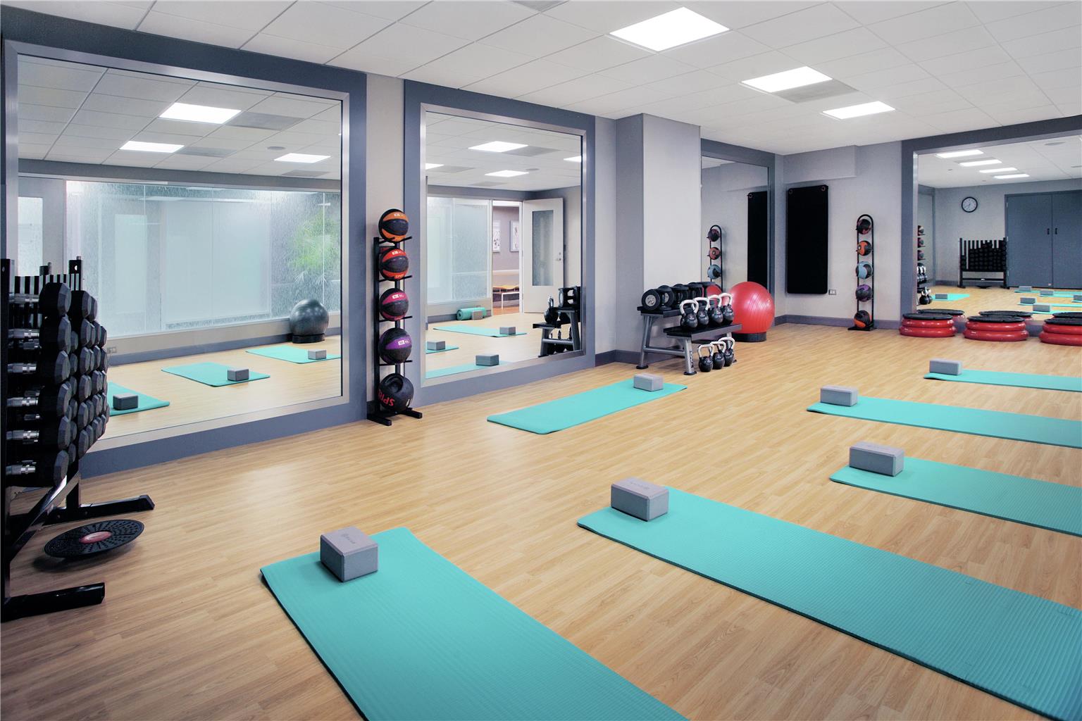 Health club  fitness center  gym 