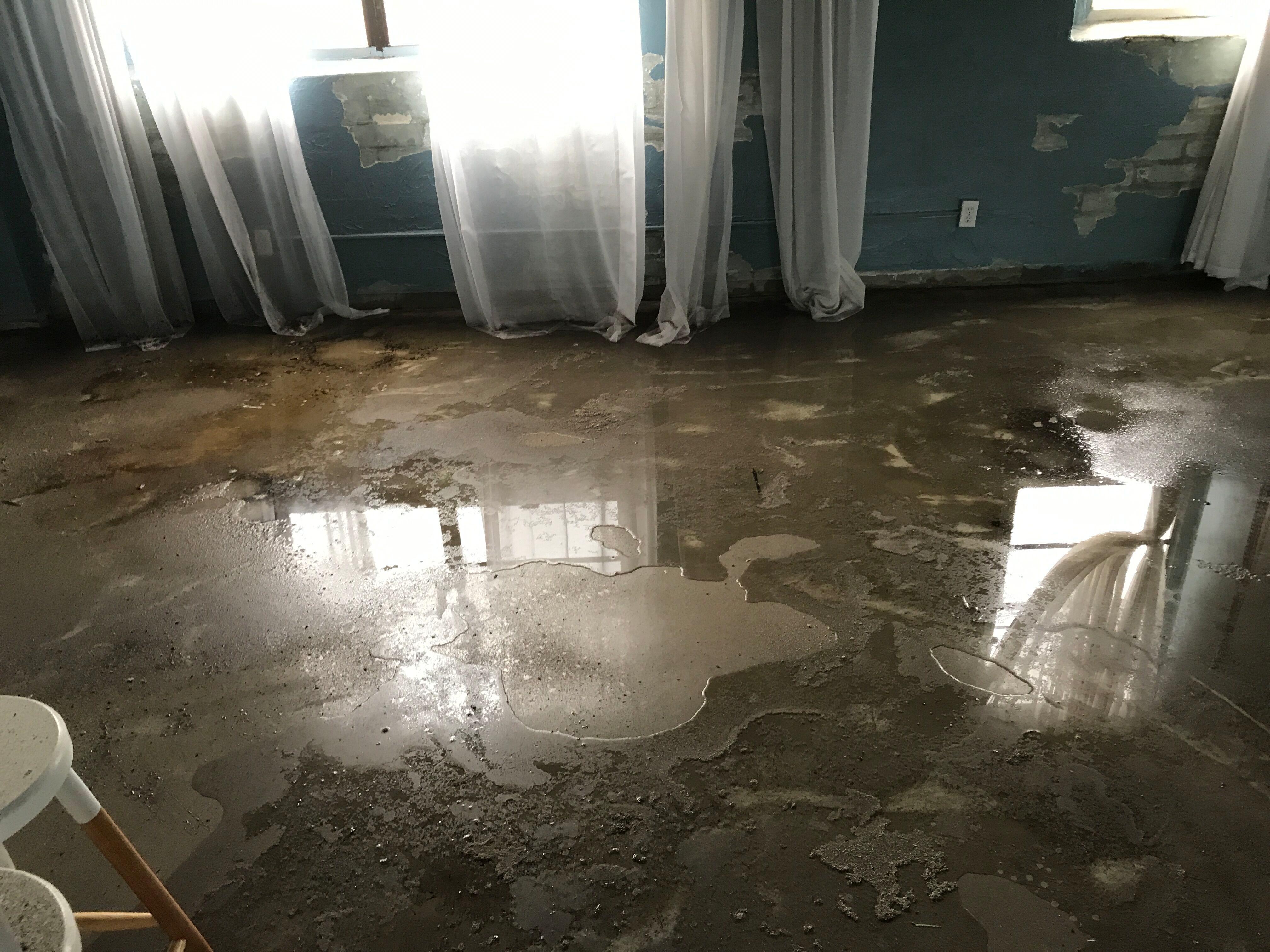 QCI Mold and Water Damage Naples (239)777-2875