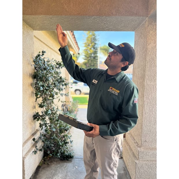 Images Southland Pest Control