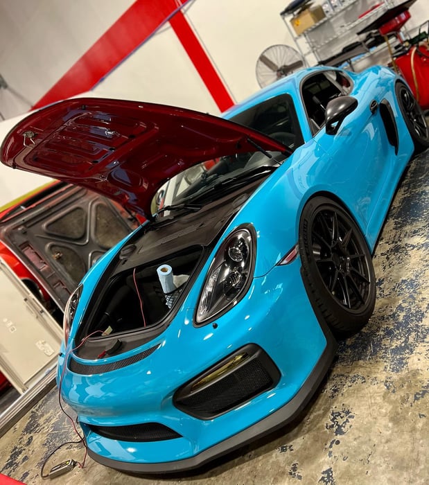 Images Loudoun County Exotics