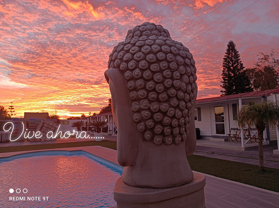 Images Bungalow Buda Beach