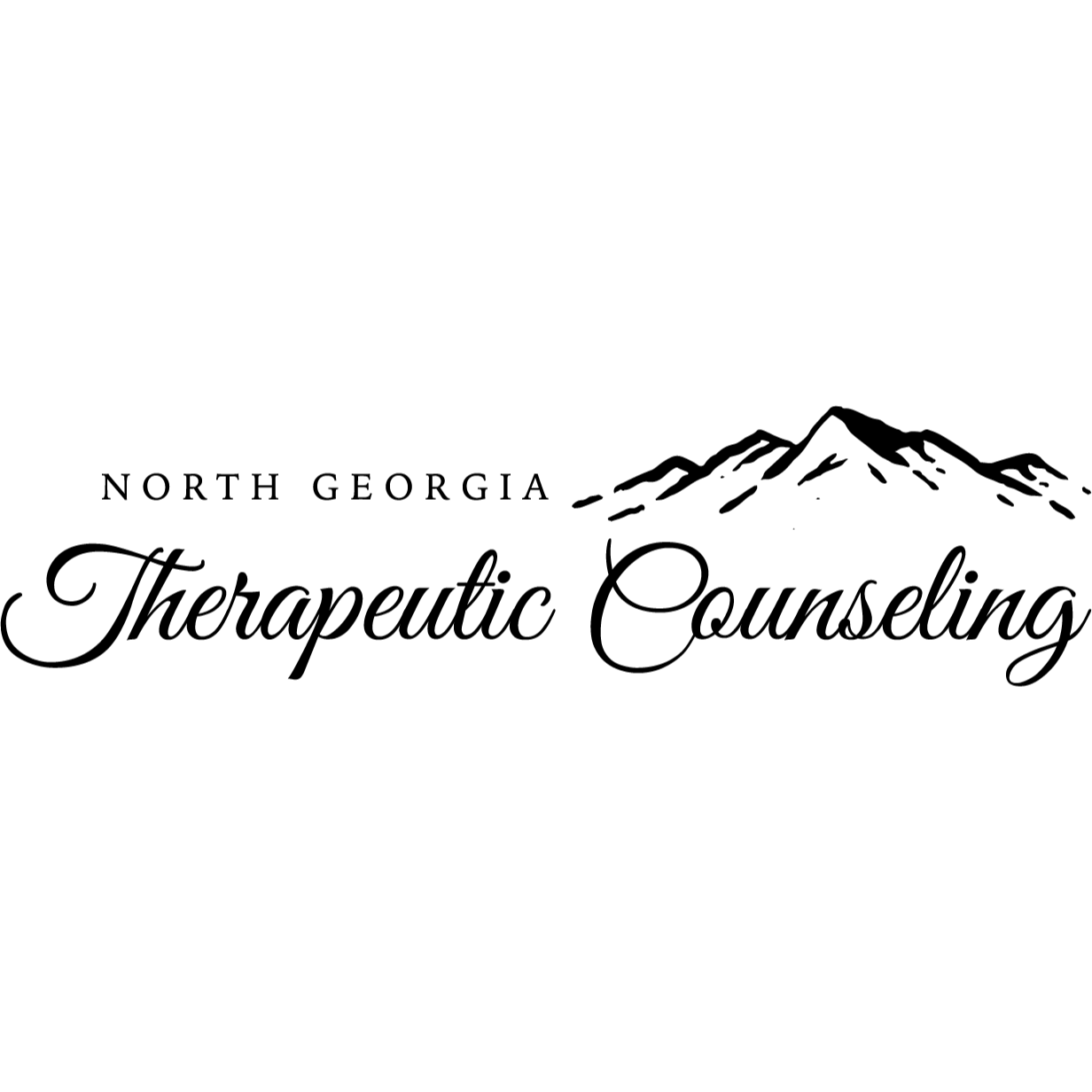 North Georgia Therapeutic Counseling