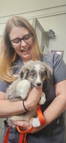 Images VCA Peone Pines Animal Hospital