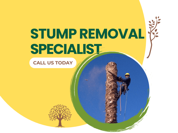 Images JC Tree Care & Landscape