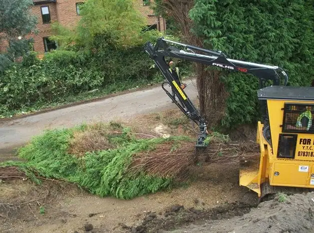 Images Yorkshire Tree Contractors
