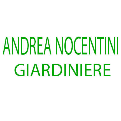 Andrea Nocentini Giardini - Landscaper - Firenze - 335 657 7250 Italy | ShowMeLocal.com