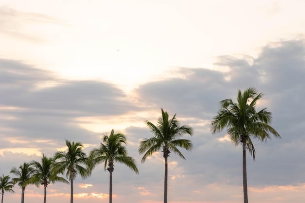 Images The Laureate Key West