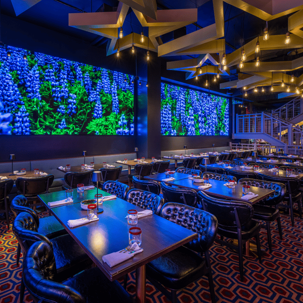 Images Planet Hollywood New York