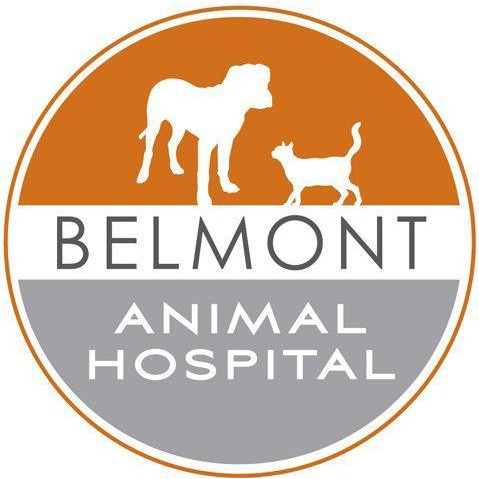 Belmont Animal Hospital