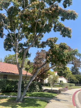 Images LifeStance Therapists & Psychiatrists Goleta