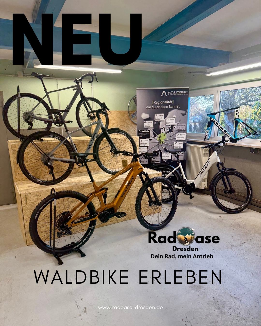 Bilder RadOase Dresden - Fahrradladen mit Herz