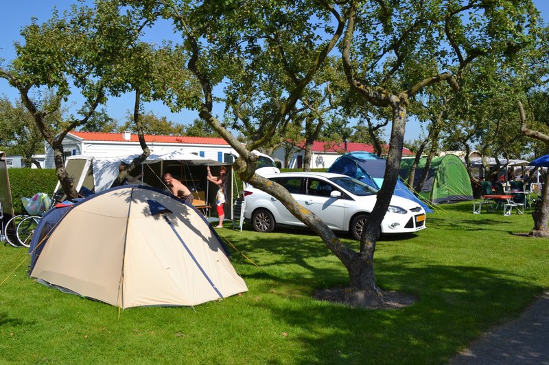 Foto's Camping In de Bongerd