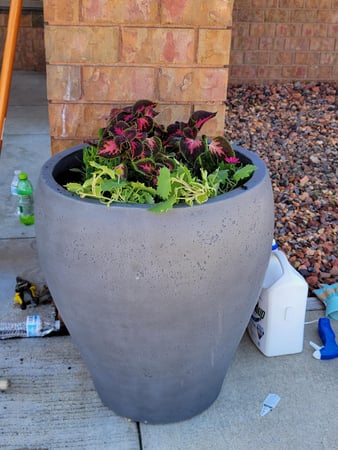 Images Stamm Romero & Associates