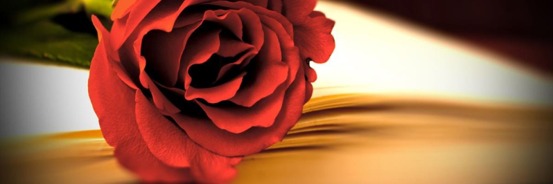 Images Impresa Onoranze Funebri Bi-Erre