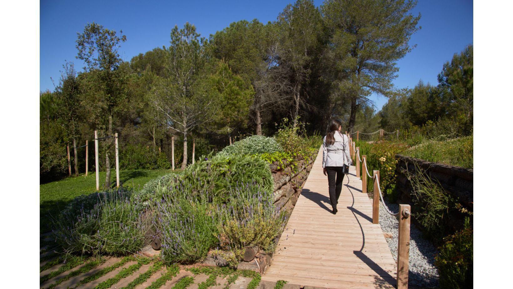 Cementiri Comarcal Roques Blanques 85