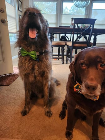 Images Cindy Donaldson: Allstate Insurance