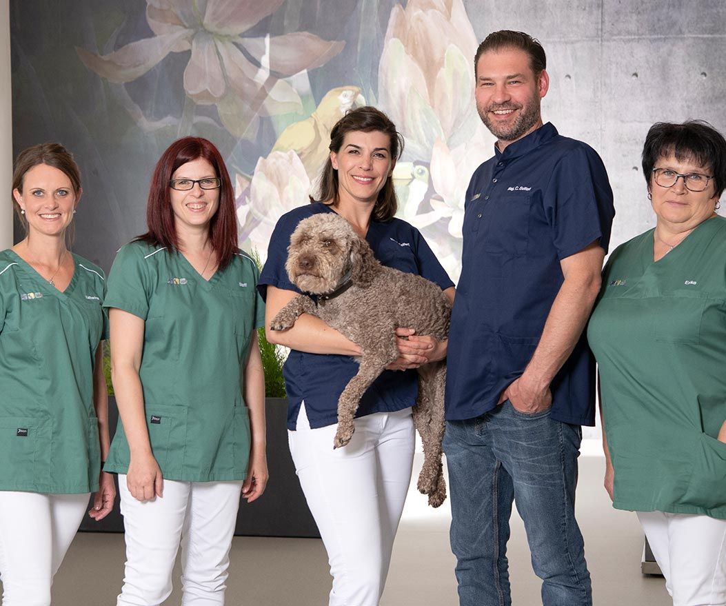 Bilder Tierarztpraxis Steinerkirchen OG