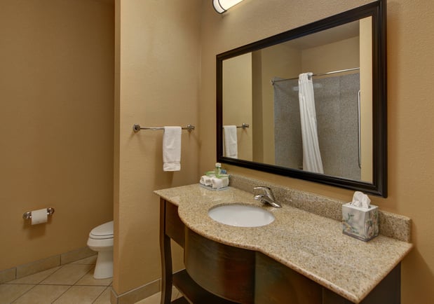 Images Holiday Inn Express & Suites Tyler South by IHG