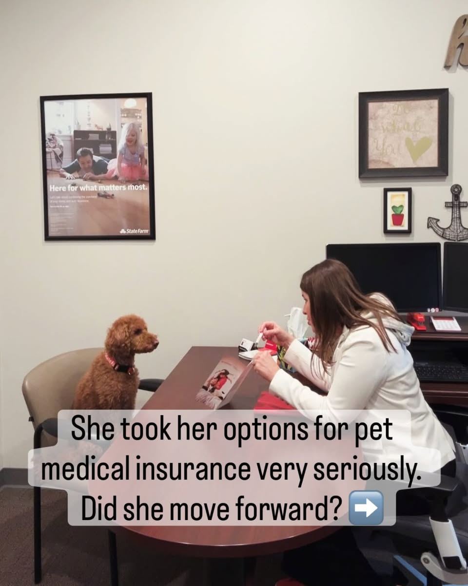 In honor of National Puppy Day, I had a special meeting. We reviewed options for a Trupanion pet medical policy. There were many questions and strong interest in treat coverage. Pets are family and vet bills can add up. Plan ahead and give your pup an extra treat today.
