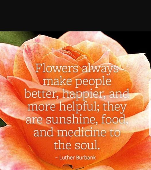 Images Tri-City Florist