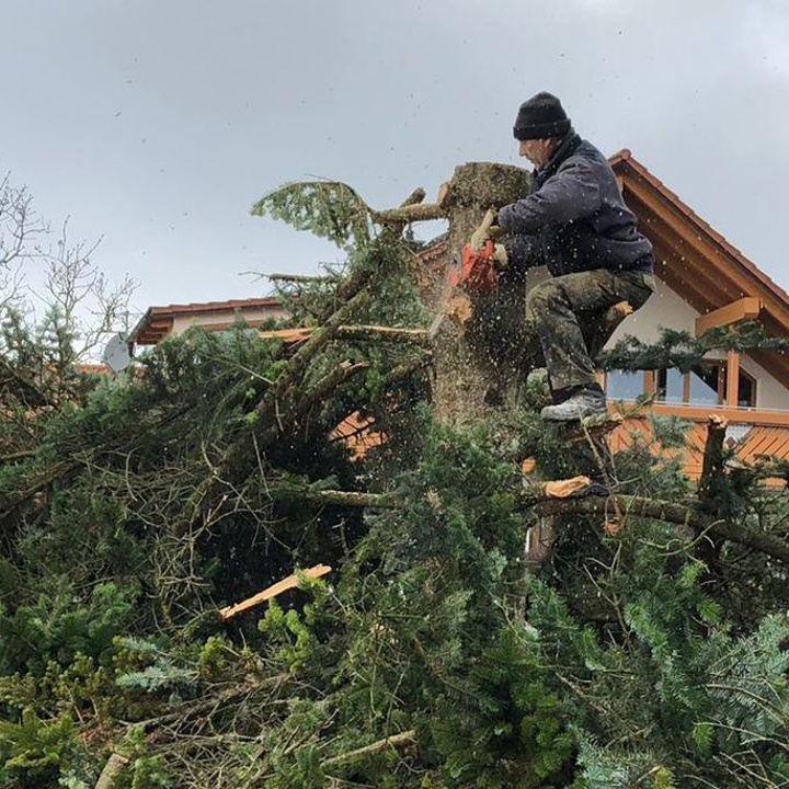 Bilder HDS Hausmeisterservice Entrümpelung Baumfällung Entkernung Demontage Altmetall-Entsorgung
